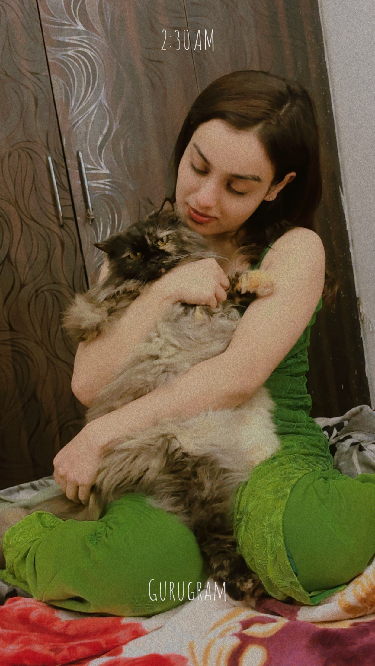 Neha cat boarding in Gurgaon